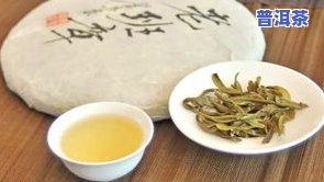 班章古树普洱茶是绿茶-班章古树普洱茶特点