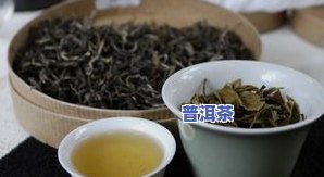 班章古树普洱茶是绿茶-班章古树普洱茶特点