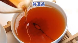 普洱茶加什么会发酵的快-普洱茶加什么会发酵的快一点