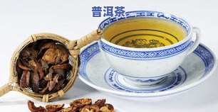 高血压患者适合饮用哪些茶叶？探讨高血压人群喝茶的好处与禁忌