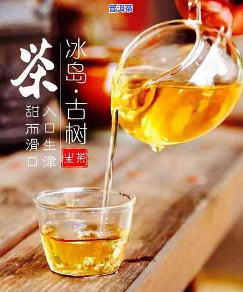 云南冰岛纯料老茶普洱茶-云南冰岛普洱茶怎么样