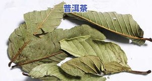 石榴叶制作茶叶全过程视频教程