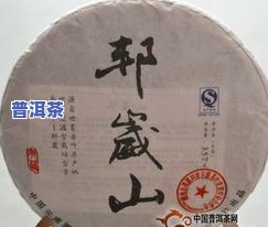 雅韵普洱茶：简介、特点与价格一览