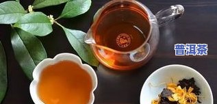 陈皮普洱茶功效价格表图-陈皮普洱茶的功效和作用及食用方法