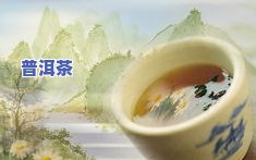 哪些茶属于发酵茶叶类：从茶到食品的全面解析