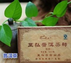 诗韵茶叶：品味诗意生活，领略茶香世界 - 诗韵官方网站