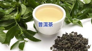 哪一种茶属于发酵？绿茶、红茶还是乌龙茶？