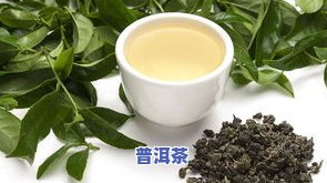 哪些茶属于发酵茶叶-哪些茶属于发酵茶叶类