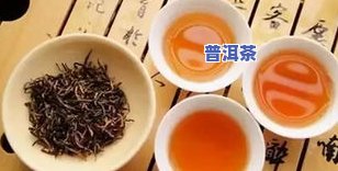 哪些茶属于发酵茶叶-哪些茶属于发酵茶叶类