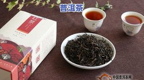 普洱茶的生产厂家及一览