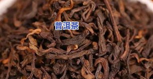 茶叶普洱茶昆明-茶叶普洱茶昆明哪里有卖