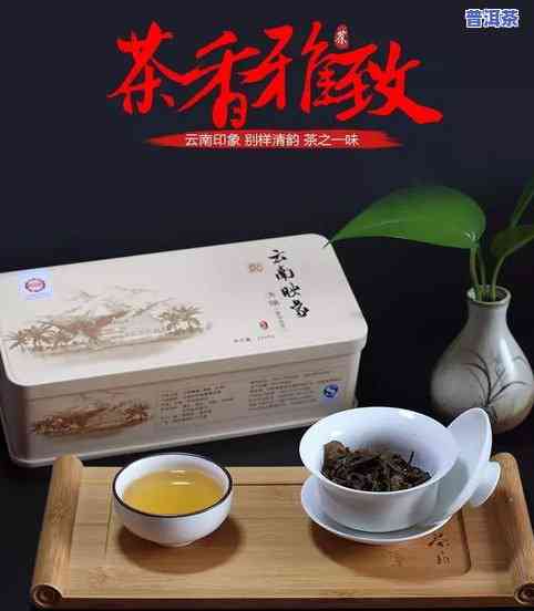 普洱茶有多少个山头的品种-普洱茶有多少个山头的品种图片