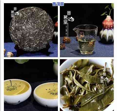 本心普洱茶-普洱茶本味初心价格