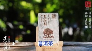 稻谷普洱茶-稻香普洱茶