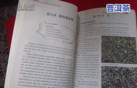 普洱茶评茶员工作内容描述正确的是：品鉴、记录、分析普洱茶的各项特性。