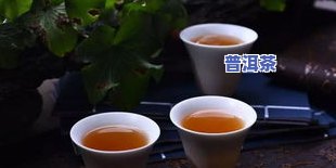 普洱茶冲泡时间间隔：多久最适宜？