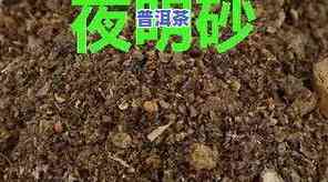 如何泡制像老鼠屎一样口感独特的茶叶？