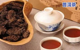 普洱茶7583-普洱茶7583是什么意思