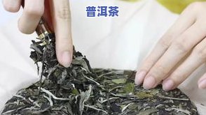 有不存在瘦肚子的茶叶-有不存在瘦肚子的茶叶啊