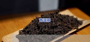 新绛普洱茶-新普洱茶价格