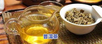 普洱茶减肥冲泡方法大全：视频、窍门与泡法全解析