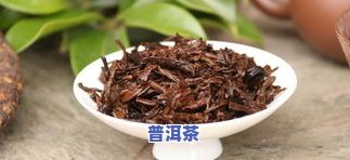 老曼娥普洱茶为什么苦-老曼峨普洱茶为什么苦