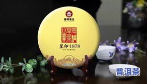 南儒山普洱茶：好茶还是坏茶？探究其产地与品质