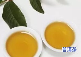 口味清淡的茶叶品种大全：种类与特点解析