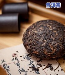 5815普洱茶：与云南普洱茶、生茶及古茶树的对比