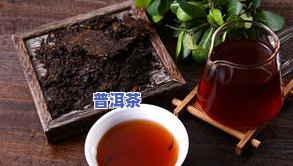 怎么样判断普洱茶好坏？从外形、汤色、香气、滋味四个方面全面解析