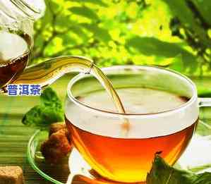 金寨县金龙玉珠茶叶-金寨县金龙玉珠茶叶属于什么茶