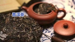 明牌普洱茶-名牌普洱茶有哪些