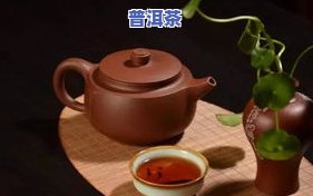 普洱茶真的会伤肾吗？探讨其可能的影响及正确饮用方法