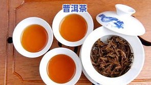 普洱茶8613，探索普洱茶的魅力：深入了解8613的起源和特点