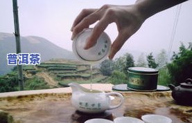 是哪里的茶叶品种？产地、图片及品种介绍