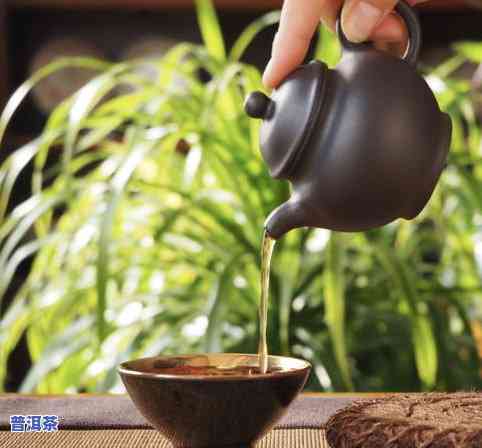 普洱茶的正确泡法教程图-普洱茶的正确泡法教程图片