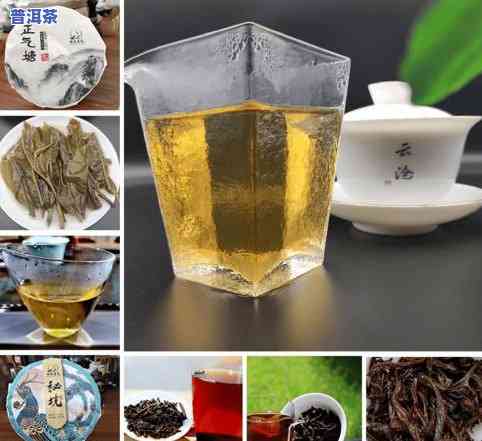 普洱茶公司哪家好一点的-普洱茶公司哪家好一点的