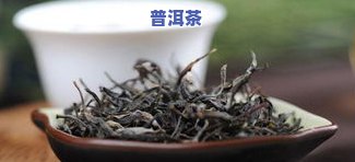 普洱茶套种-普洱茶套种什么好