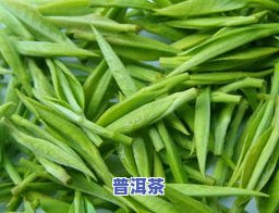 什么情况不能喝普洱茶，普洱茶饮用禁忌：哪些情况下不宜喝普洱茶？