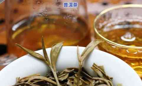 南糯山普洱茶价位多少一斤-南糯山普洱茶价位多少一斤啊