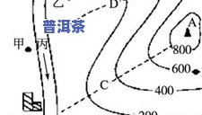 弯弓普洱茶：地理位置、特点、价格与口感全解析