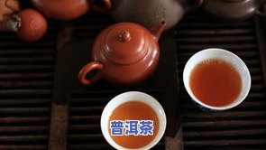 普洱茶发酵室温-普洱茶发酵室温多少度