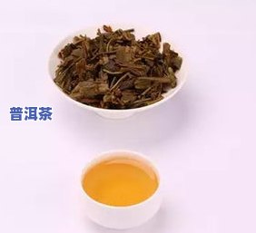 真实高清！东北普洱茶图片大全及产地介绍