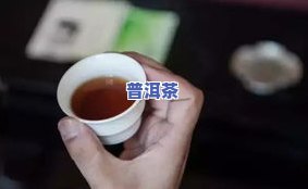 黄色的普洱茶：品种、特点及识别方法全解析