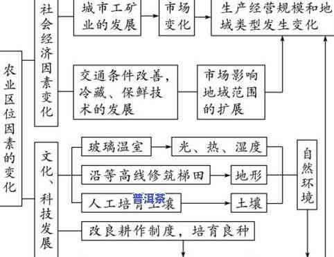 普洱茶追溯体系：原理、构成与应用全解析