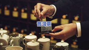 普洱茶追梦：从茶园到杯中，探寻茶叶文化的故事