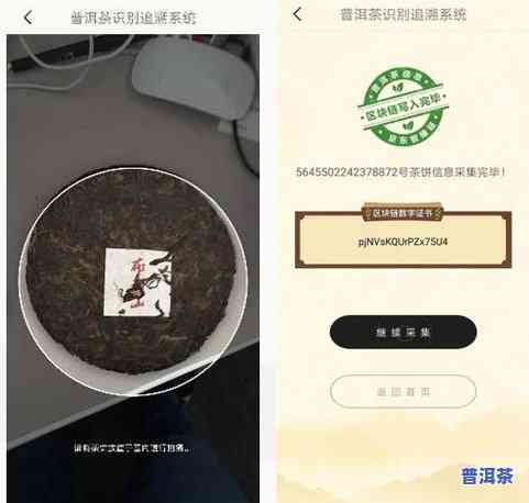 普洱茶追-普洱茶追溯体系