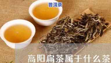 一小块像泥巴的茶叶-一小块像泥巴的茶叶叫什么