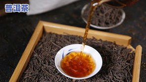 普洱茶熟普种类的特点、作用及其禁忌与品种全解析