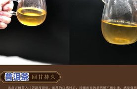 冰岛古树普洱茶生茶357克的价格变迁：从2009年至2018年的走势分析